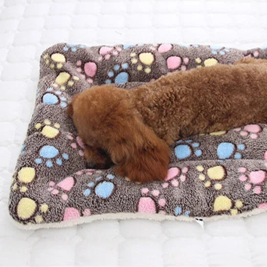 Soft Winter Pet Mat