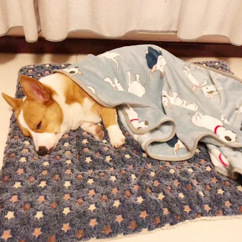 Soft Winter Pet Mat