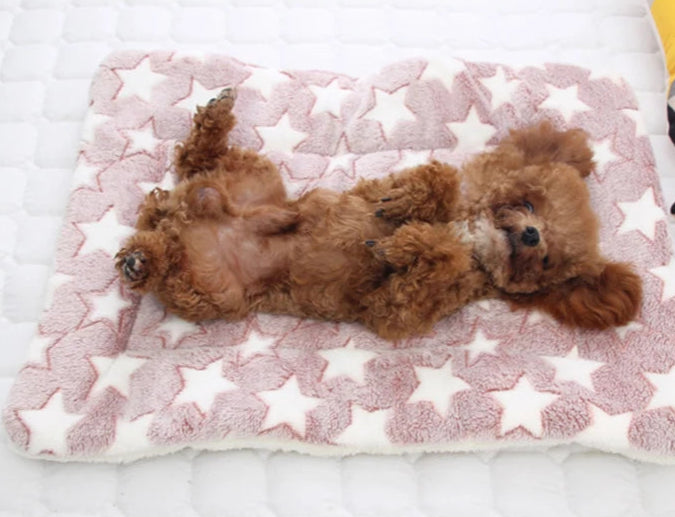 Soft Winter Pet Mat